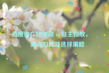 百度推廣代理商 vs 自主投放，優(yōu)缺點(diǎn)對(duì)比及選擇策略