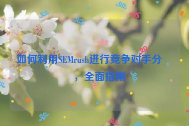 如何利用SEMrush進(jìn)行競(jìng)爭(zhēng)對(duì)手分析，全面指南
