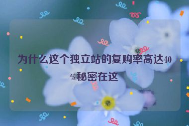 為什么這個(gè)獨(dú)立站的復(fù)購率高達(dá)40%秘密在這
