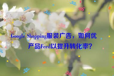 Google Shopping服裝廣告，如何優(yōu)化產(chǎn)品Feed以提升轉(zhuǎn)化率？