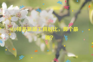 SEO排名跟蹤工具對比，哪個最準確？