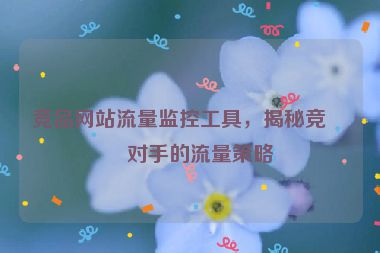 競品網(wǎng)站流量監(jiān)控工具，揭秘競爭對手的流量策略