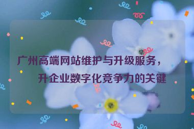 廣州高端網(wǎng)站維護(hù)與升級服務(wù)，提升企業(yè)數(shù)字化競爭力的關(guān)鍵