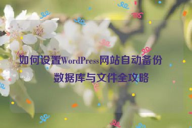 如何設(shè)置WordPress網(wǎng)站自動備份，數(shù)據(jù)庫與文件全攻略