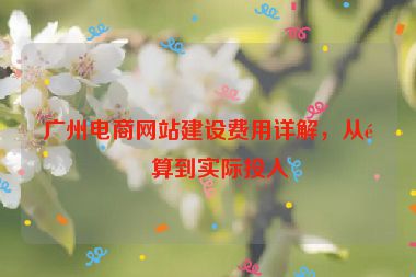 廣州電商網(wǎng)站建設(shè)費(fèi)用詳解，從預(yù)算到實(shí)際投入