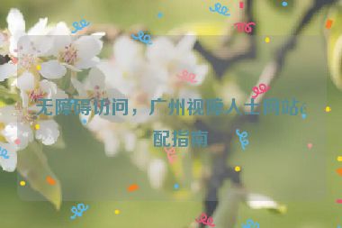 無障礙訪問，廣州視障人士網(wǎng)站適配指南
