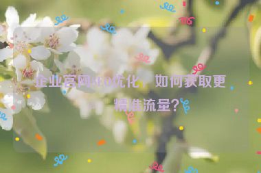 企業(yè)官網(wǎng)SEO優(yōu)化，如何獲取更多精準流量？