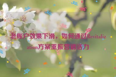 老賬戶效果下滑，如何通過Revitalization方案重振營銷活力