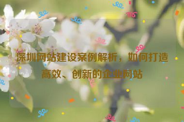 深圳網(wǎng)站建設(shè)案例解析，如何打造高效、創(chuàng)新的企業(yè)網(wǎng)站