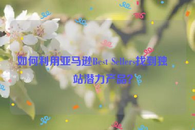 如何利用亞馬遜Best Sellers找到獨(dú)立站潛力產(chǎn)品？