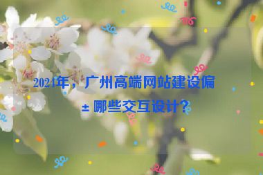 2024年，廣州高端網(wǎng)站建設(shè)偏愛(ài)哪些交互設(shè)計(jì)？