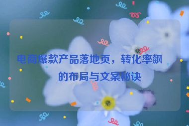 電商爆款產(chǎn)品落地頁，轉化率飆升的布局與文案秘訣
