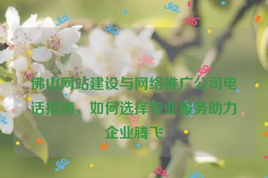 佛山網(wǎng)站建設(shè)與網(wǎng)絡(luò)推廣公司電話指南，如何選擇專業(yè)服務(wù)助力企業(yè)騰飛