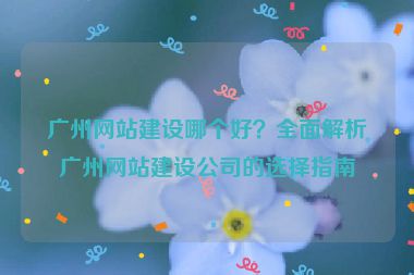 廣州網(wǎng)站建設(shè)哪個好？全面解析廣州網(wǎng)站建設(shè)公司的選擇指南