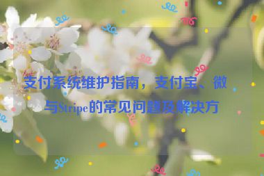 支付系統(tǒng)維護指南，支付寶、微信與Stripe的常見問題及解決方案