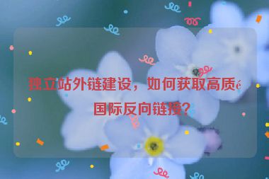 獨(dú)立站外鏈建設(shè)，如何獲取高質(zhì)量國(guó)際反向鏈接？