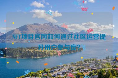 NFT項(xiàng)目官網(wǎng)如何通過社區(qū)運(yùn)營(yíng)提升用戶參與度？