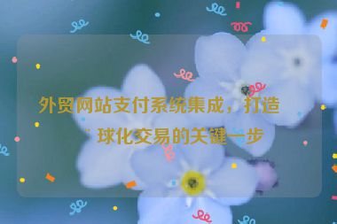 外貿(mào)網(wǎng)站支付系統(tǒng)集成，打造全球化交易的關(guān)鍵一步