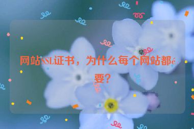 網(wǎng)站SSL證書，為什么每個(gè)網(wǎng)站都需要？