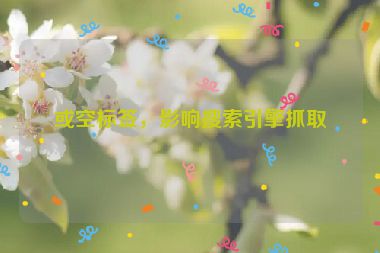 或空標(biāo)簽，影響搜索引擎抓取