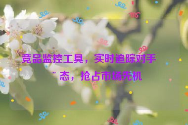 競品監(jiān)控工具，實時追蹤對手動態(tài)，搶占市場先機