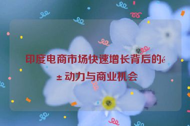 印度電商市場(chǎng)快速增長(zhǎng)背后的驅(qū)動(dòng)力與商業(yè)機(jī)會(huì)