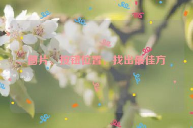 、圖片、按鈕位置，找出最佳方案