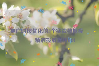 推廣時段優(yōu)化的3個實戰(zhàn)數(shù)據(jù)模型，精準投放提升ROI