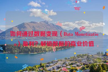 如何通過數(shù)據(jù)變現(xiàn)（Data Monetization）盈利？解鎖數(shù)據(jù)的商業(yè)價(jià)值