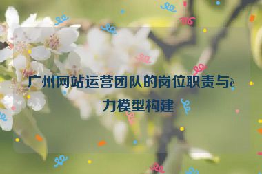 廣州網(wǎng)站運(yùn)營團(tuán)隊(duì)的崗位職責(zé)與能力模型構(gòu)建
