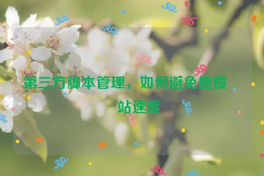 第三方腳本管理，如何避免拖慢網(wǎng)站速度