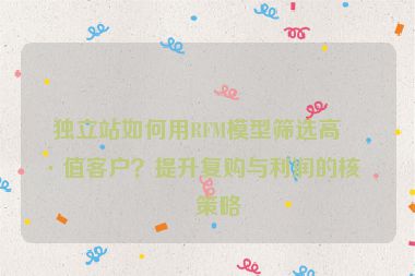 獨(dú)立站如何用RFM模型篩選高價(jià)值客戶？提升復(fù)購(gòu)與利潤(rùn)的核心策略