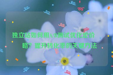 獨(dú)立站如何用A/B測(cè)試優(yōu)化定價(jià)策略？提升轉(zhuǎn)化率的關(guān)鍵方法