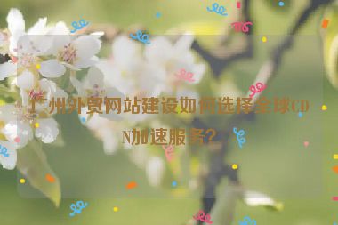 廣州外貿(mào)網(wǎng)站建設(shè)如何選擇全球CDN加速服務(wù)？
