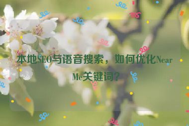 本地SEO與語音搜索，如何優(yōu)化Near Me關鍵詞？