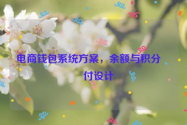 電商錢包系統(tǒng)方案，余額與積分支付設計