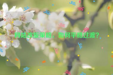 網(wǎng)站改版策略，如何平穩(wěn)過渡？