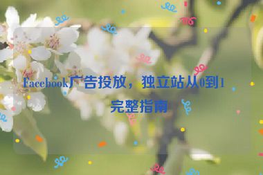 Facebook廣告投放，獨立站從0到1的完整指南