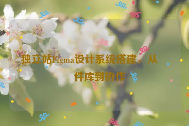 獨(dú)立站Figma設(shè)計(jì)系統(tǒng)搭建，從組件庫(kù)到協(xié)作
