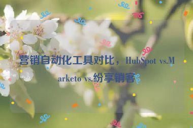 營(yíng)銷自動(dòng)化工具對(duì)比，HubSpot vs.Marketo vs.紛享銷客
