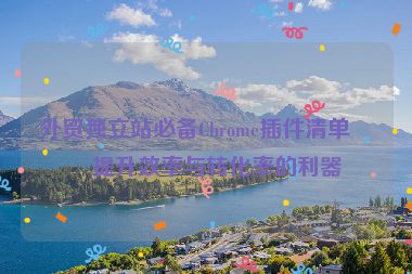 外貿(mào)獨(dú)立站必備Chrome插件清單，提升效率與轉(zhuǎn)化率的利器