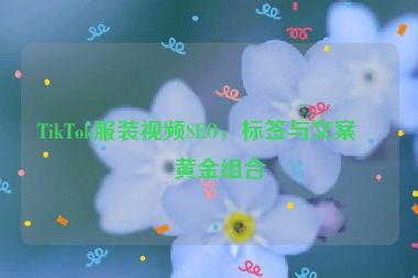 TikTok服裝視頻SEO，標(biāo)簽與文案的黃金組合