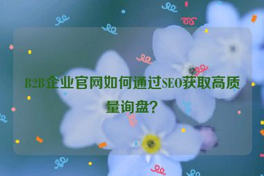 B2B企業(yè)官網(wǎng)如何通過SEO獲取高質(zhì)量詢盤？