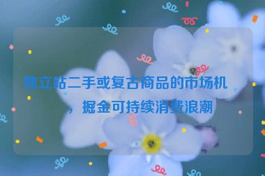 獨(dú)立站二手或復(fù)古商品的市場(chǎng)機(jī)會(huì)，掘金可持續(xù)消費(fèi)浪潮