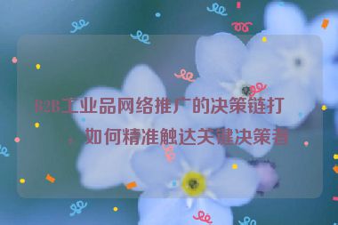 B2B工業(yè)品網(wǎng)絡推廣的決策鏈打法，如何精準觸達關鍵決策者