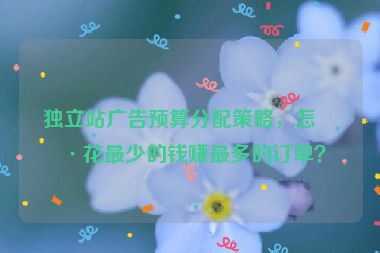 獨(dú)立站廣告預(yù)算分配策略，怎樣花最少的錢賺最多的訂單？