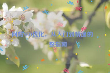 網(wǎng)站SEO優(yōu)化，從入門(mén)到精通的完整指南