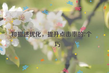 和描述優(yōu)化，提升點擊率的7個技巧