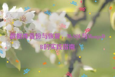 數(shù)據(jù)庫備份與恢復(fù)，MySQL與MongoDB的實(shí)踐指南