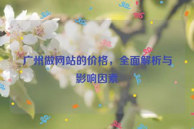 廣州做網(wǎng)站的價格，全面解析與影響因素